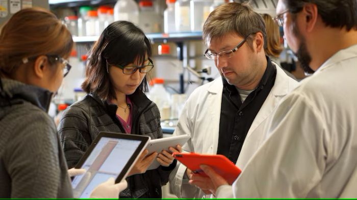 Why Is Translation in Demand for Medical Businesses